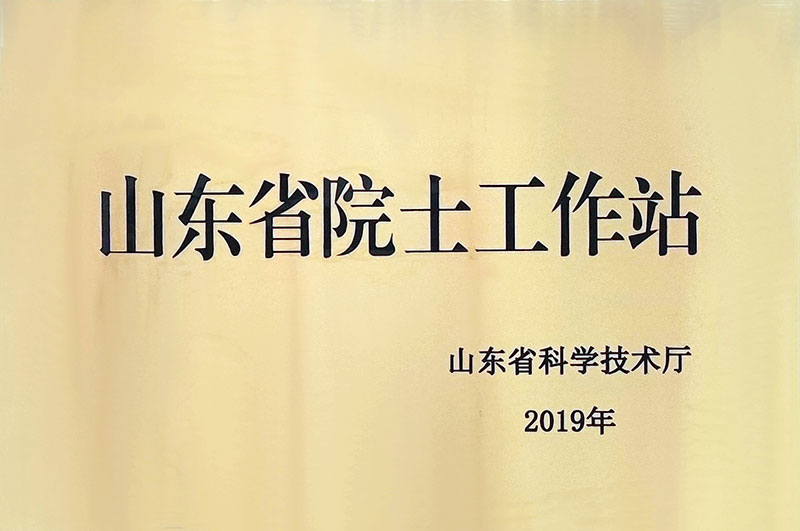 山东省院士工作站